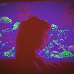 Meet your Posher, Teryn